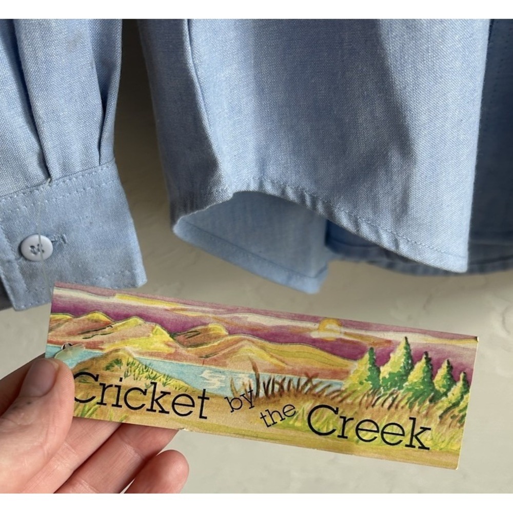 Vintage Cricket By The Creek Hand Painted Western Button Up Top L NWT Novelty - Picture 8 of 9